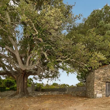 Lovely In Anghione With Kitchen Feriehus Aghione